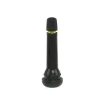 Eco tubeless valve PW TR418 100 pieces 1